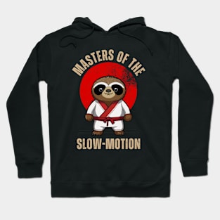 Funny Sloth Karate Master Of The Slow-Motion Hoodie